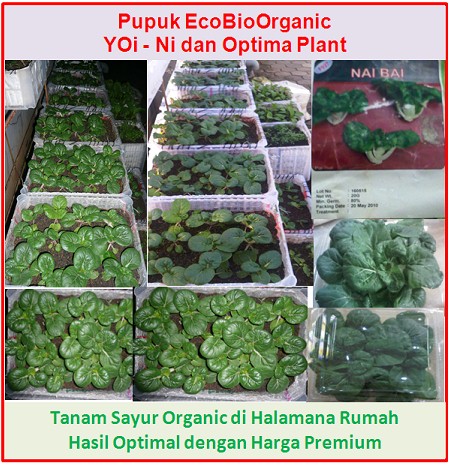 Februari 2012 Eco Bio Organic Indonesia